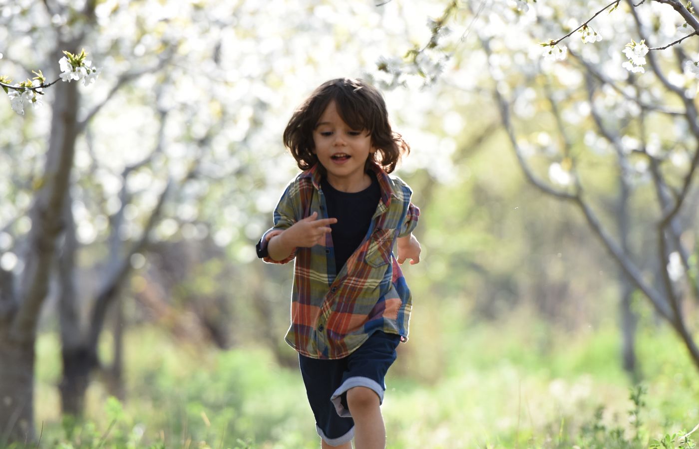Editor preview: a springtime photo of a child in an orchard, mid-adjustment